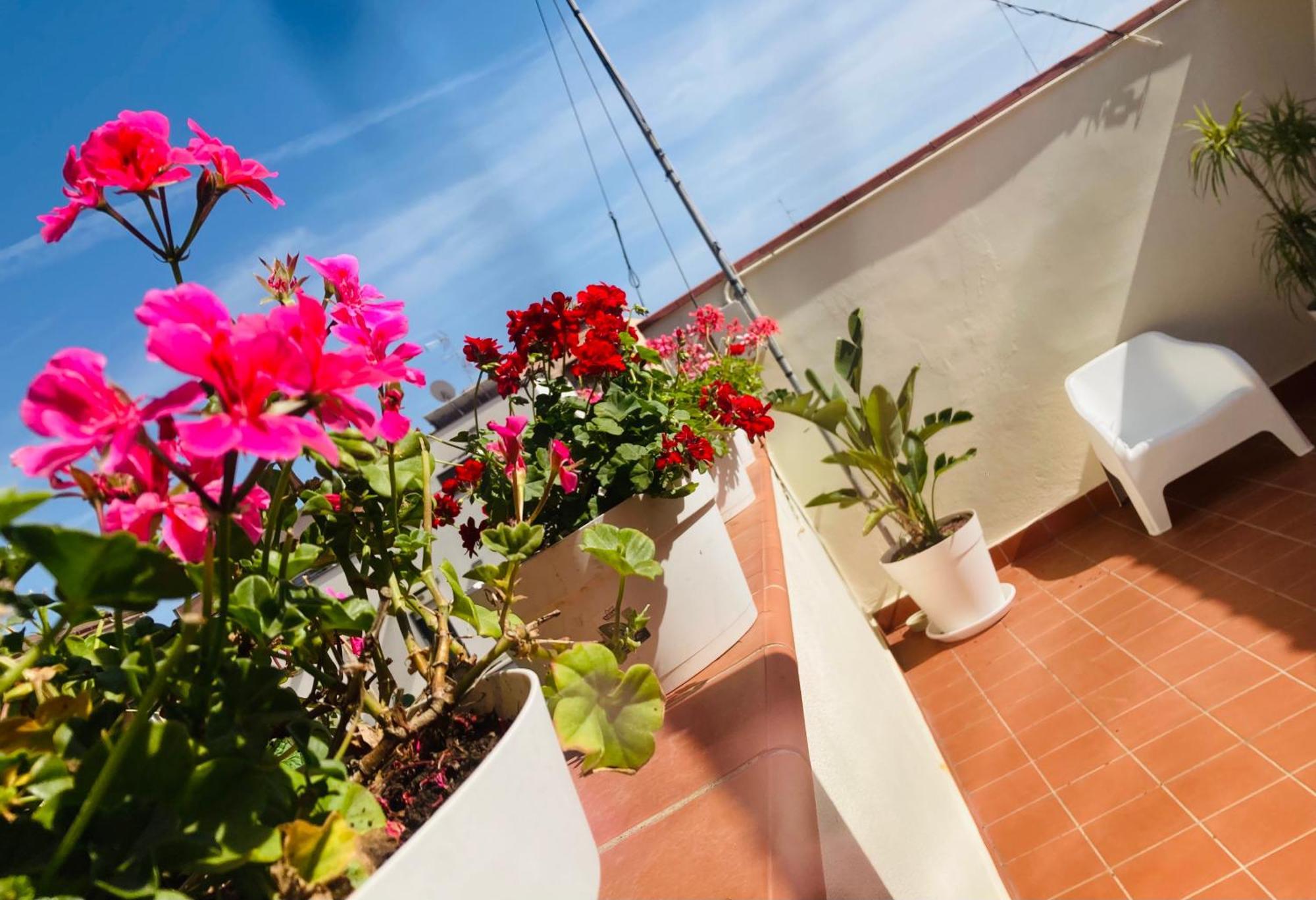 Lavica Di Mezzo Apartments Catania Bagian luar foto